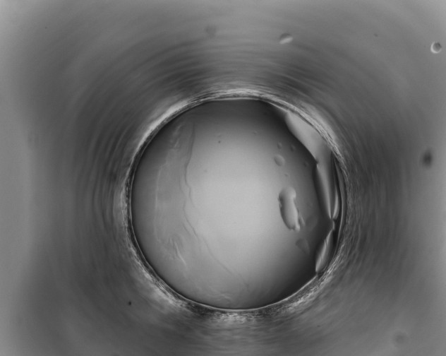 X0000100210806200806061344