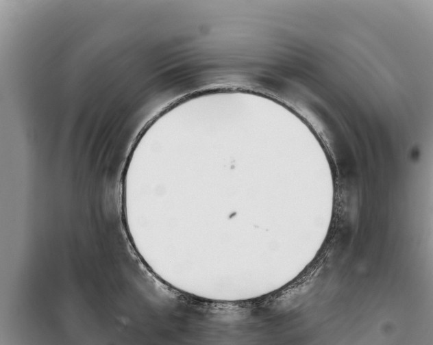 X0000100210807200806061344