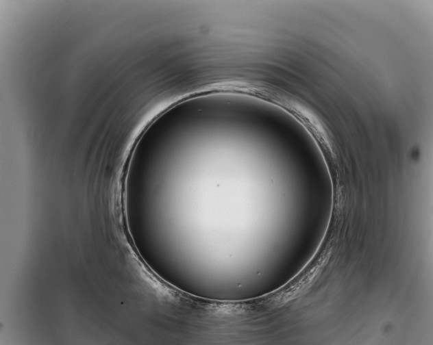 X0000100210808200806061344