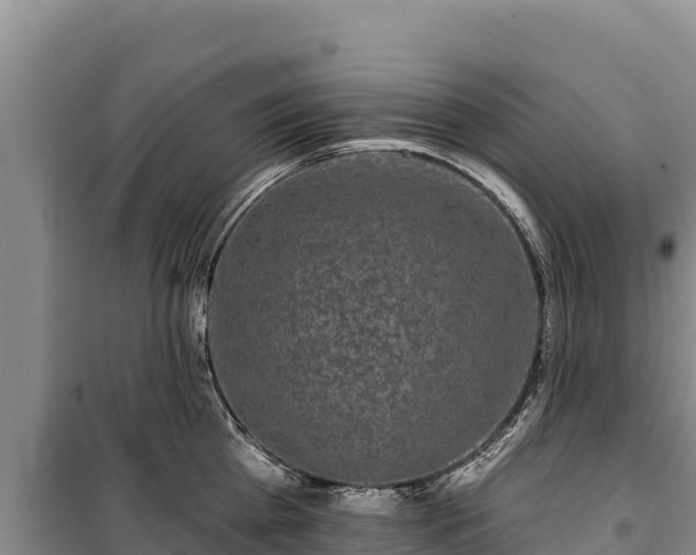 X0000100210809200806061344