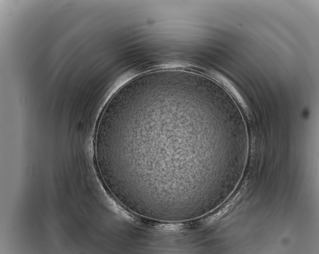 X0000100210810200806061344