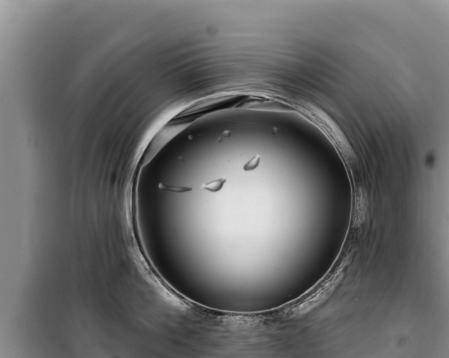 X0000100210812200806061344