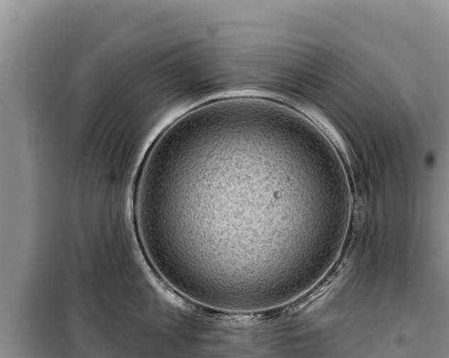 X0000100210813200806061344