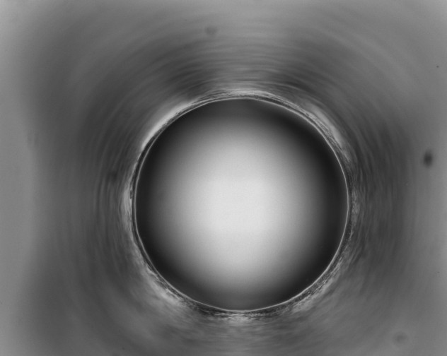 X0000100210814200806061344