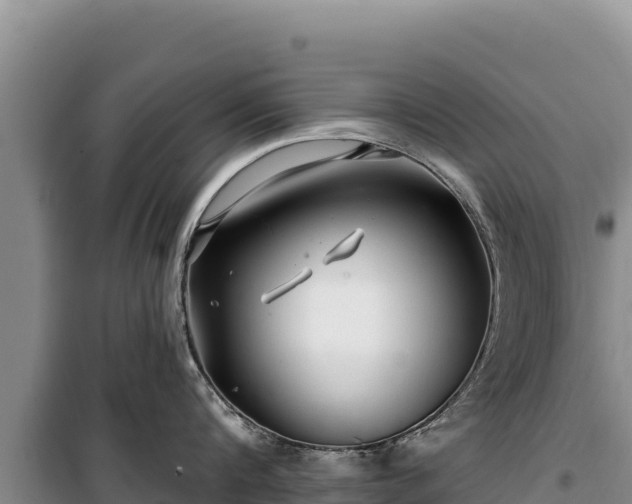 X0000100210816200806061344