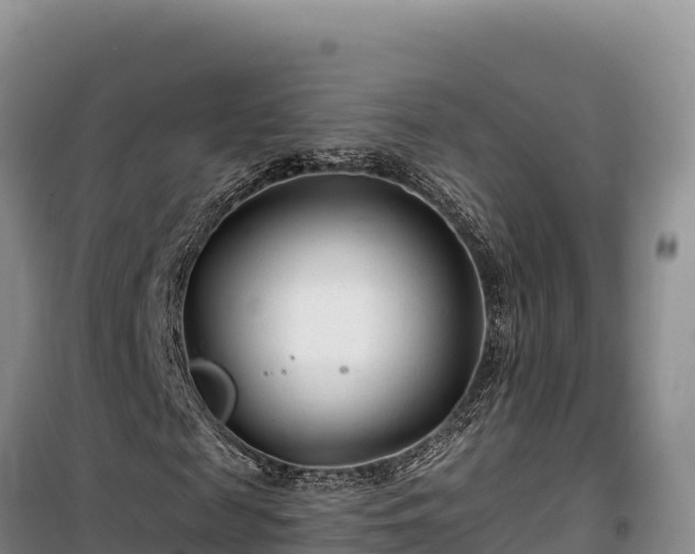 X0000100210817200806061344