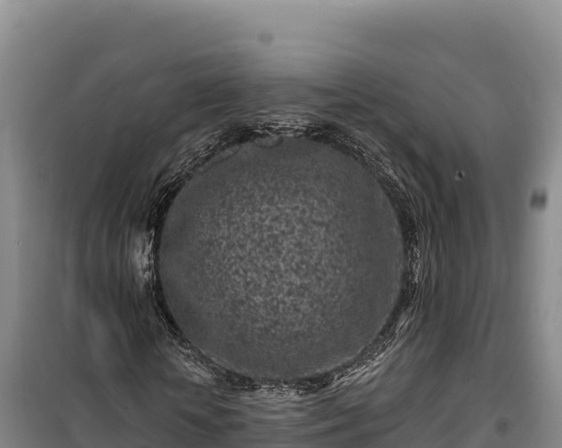 X0000100210818200806061344