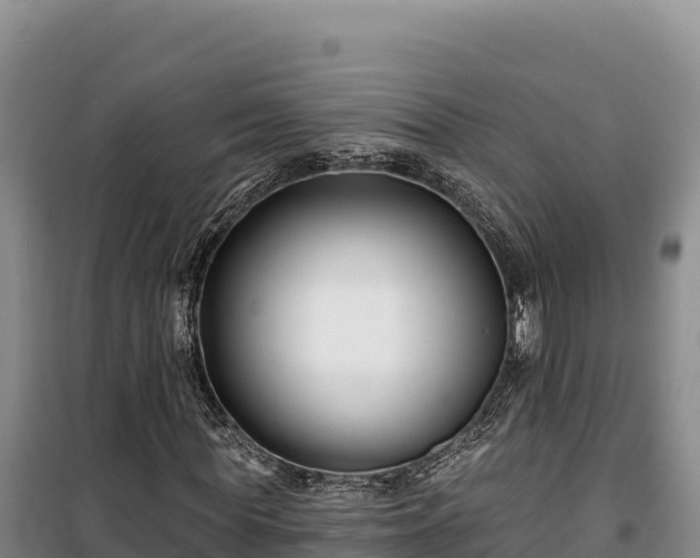 X0000100210819200806061344