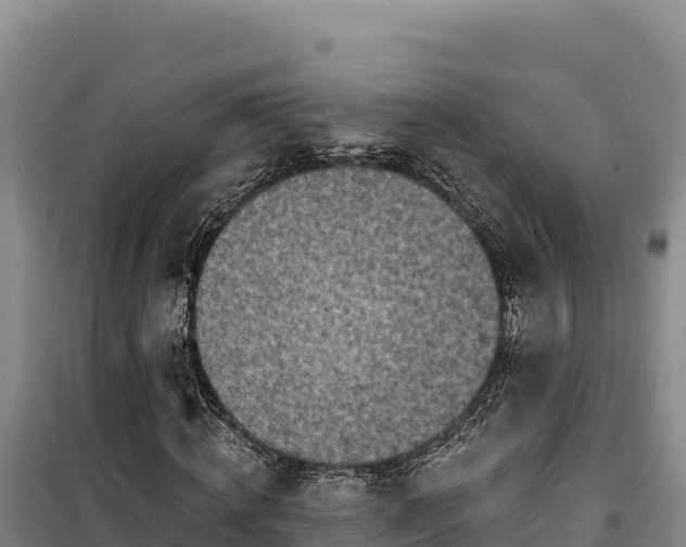 X0000100210820200806061344