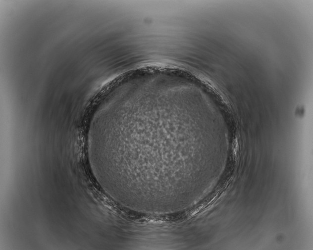 X0000100210822200806061344