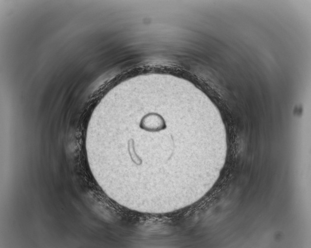 X0000100210824200806061344