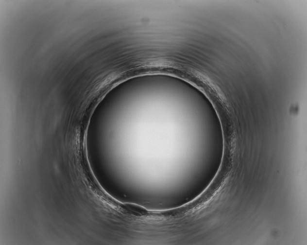 X0000100210825200806061344