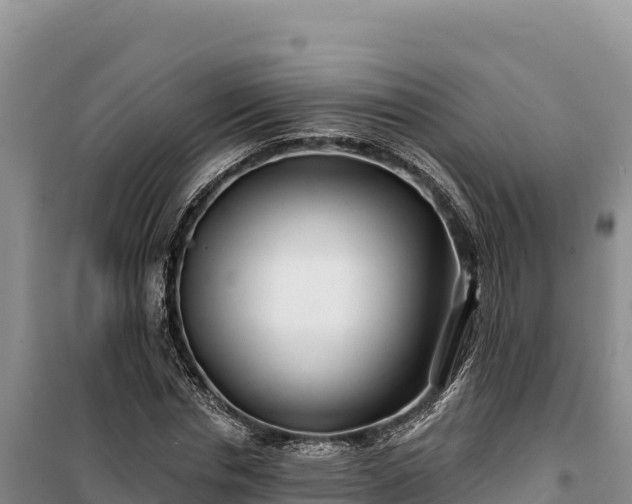 X0000100210826200806061344