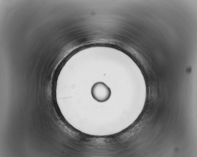 X0000100210828200806061344