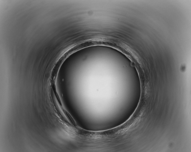 X0000100210829200806061344