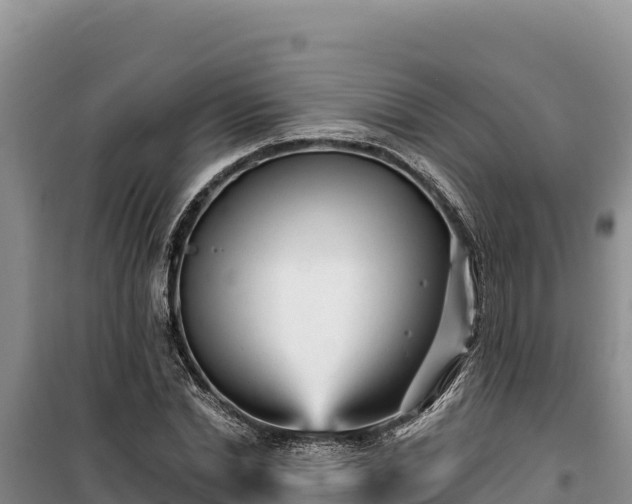 X0000100210830200806061344