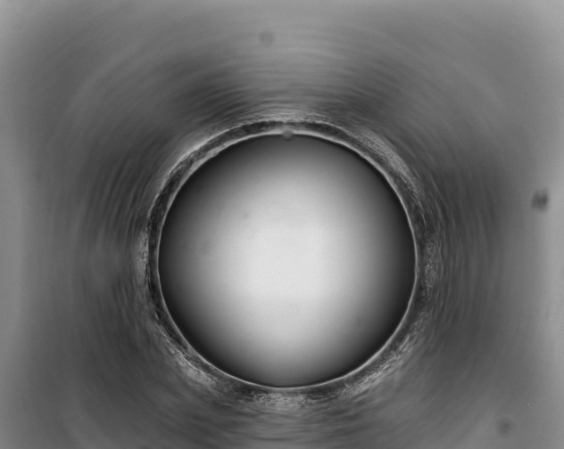 X0000100210831200806061344