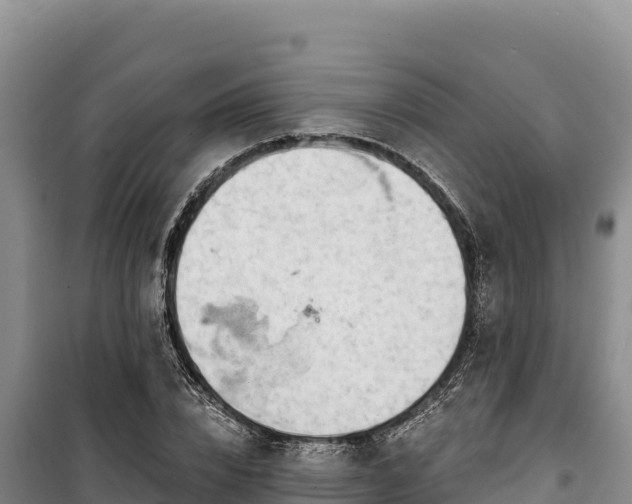 X0000100210832200806061344