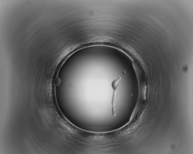 X0000100210834200806061344