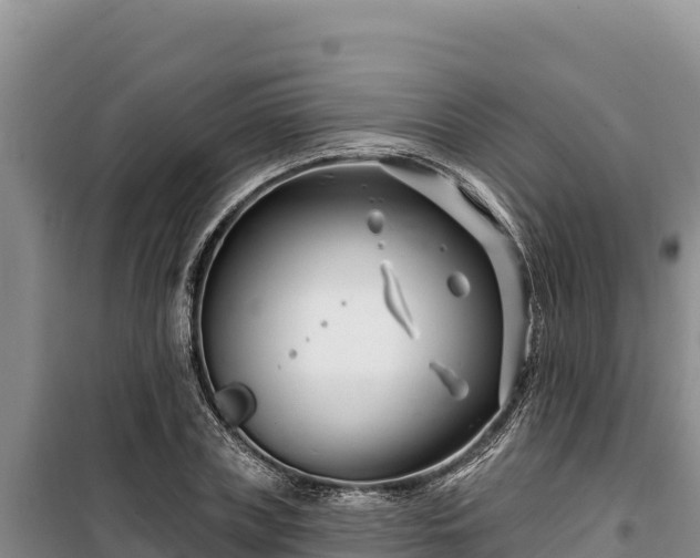 X0000100210835200806061344