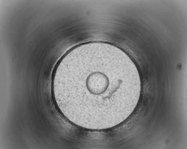 X0000100210836200806061344