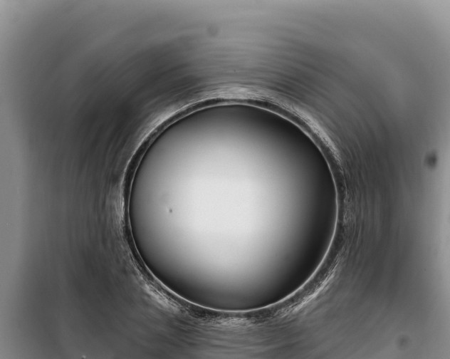 X0000100210837200806061344