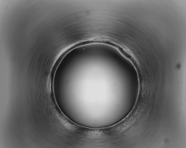 X0000100210838200806061344