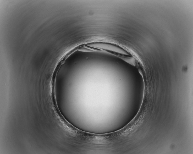 X0000100210839200806061344