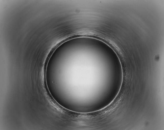 X0000100210840200806061344