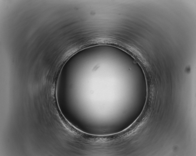 X0000100210841200806061344