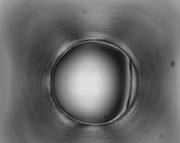 X0000100210842200806061344