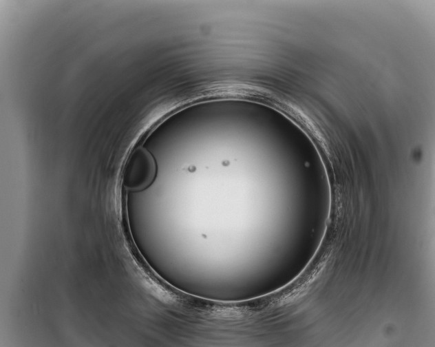 X0000100210843200806061344