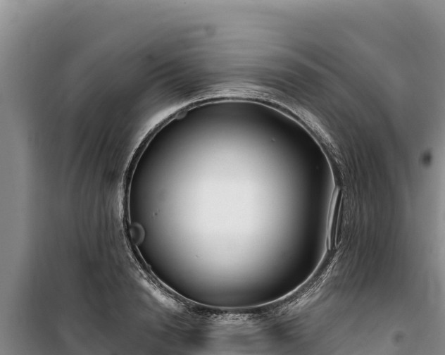 X0000100210846200806061344