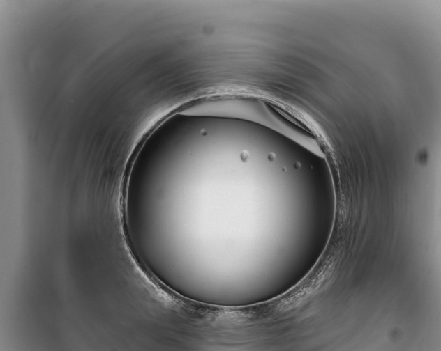 X0000100210847200806061344