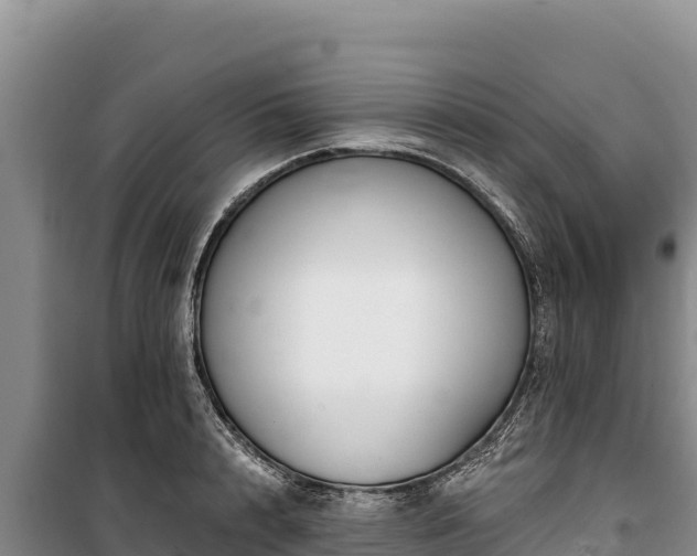 X0000100210848200806061344