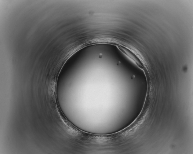 X0000100210849200806061344