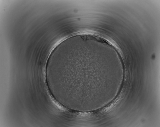 X0000100210850200806061344