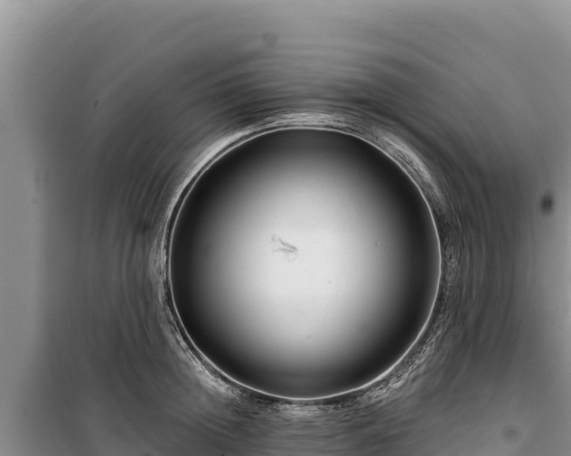 X0000100210852200806061344