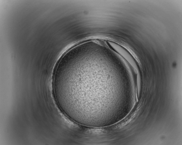 X0000100210853200806061344