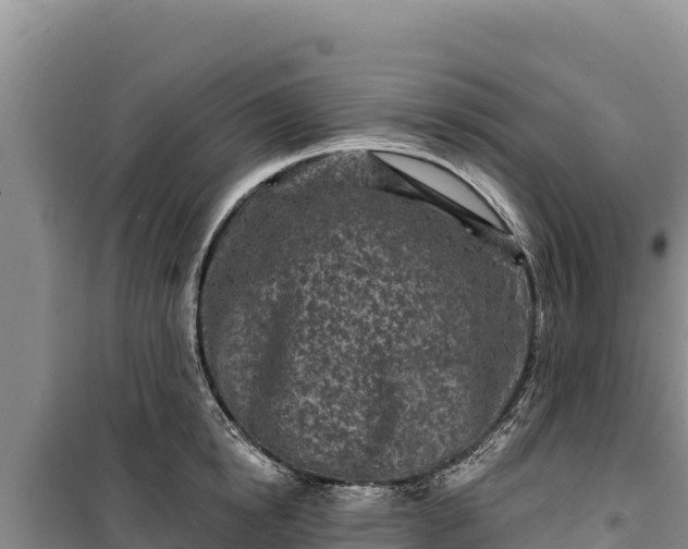 X0000100210854200806061344