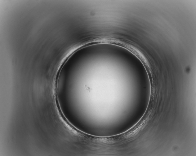 X0000100210855200806061344