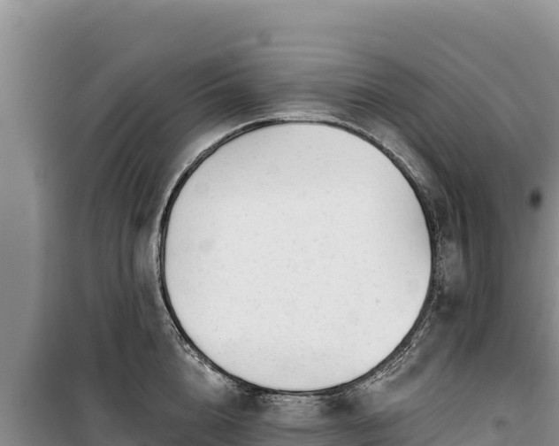 X0000100210856200806061344