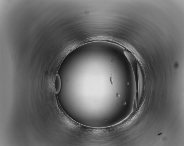 X0000100210857200806061344