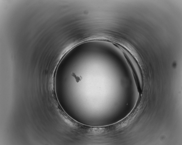 X0000100210858200806061344