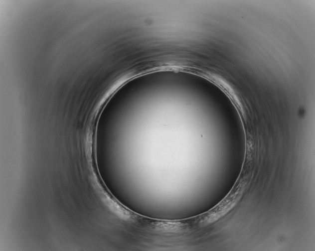 X0000100210859200806061344