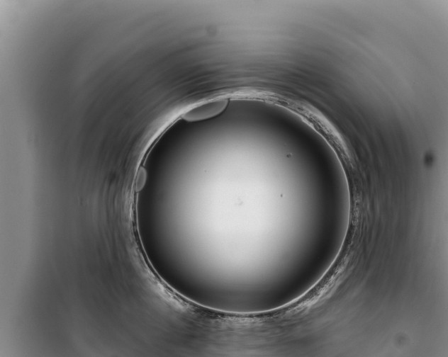 X0000100210860200806061344