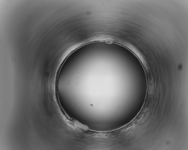 X0000100210861200806061344