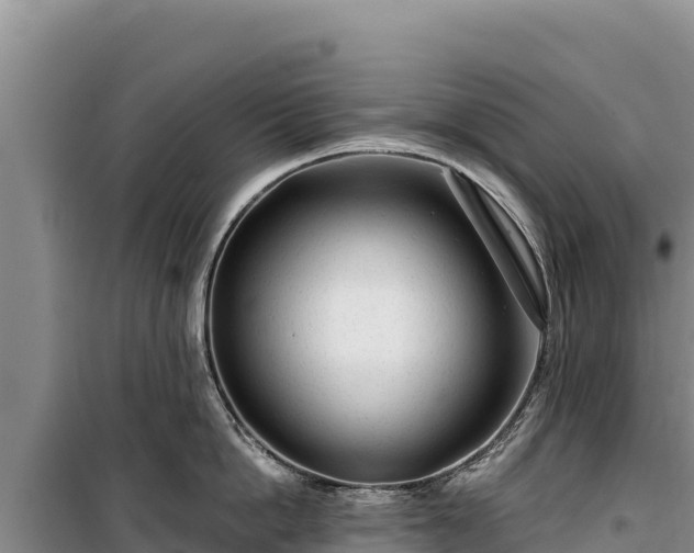 X0000100210862200806061344