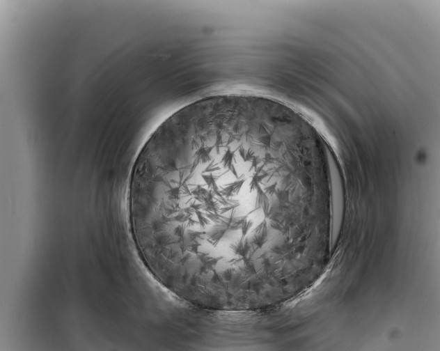 X0000100210863200806061344