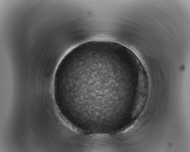 X0000100210864200806061344